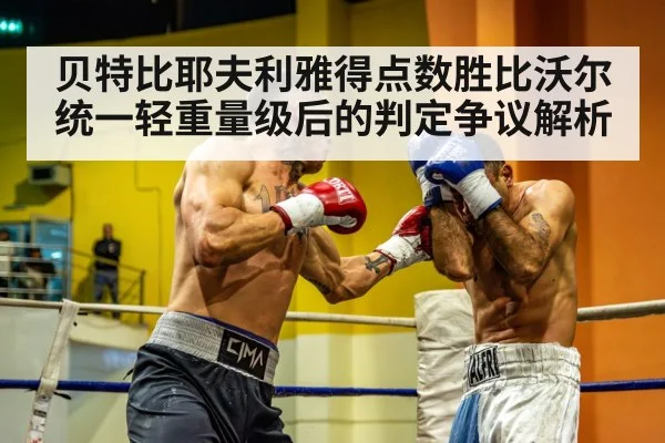light heavyweight boxing match punch